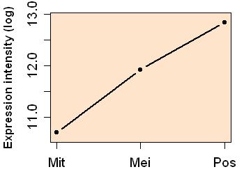 plot image