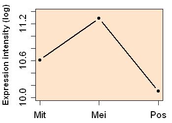 plot image