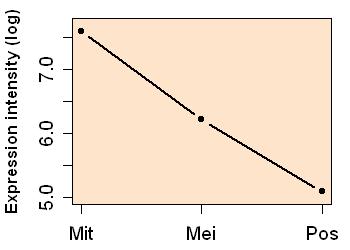 plot image