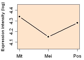 plot image