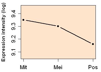 plot image