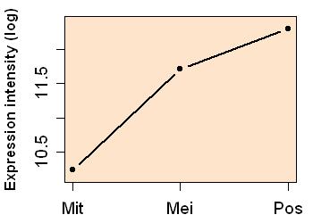 plot image