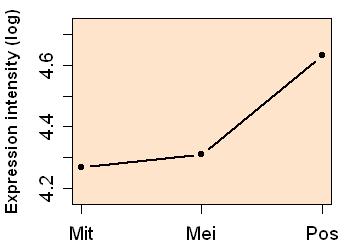 plot image