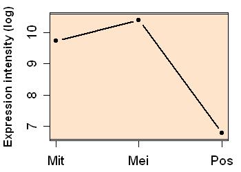 plot image
