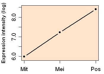 plot image