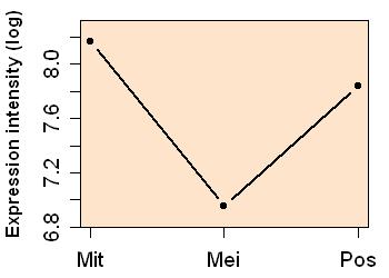 plot image