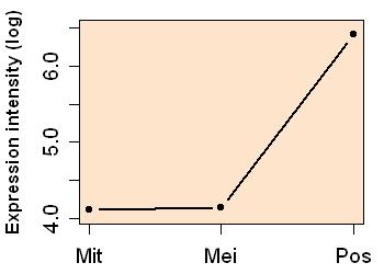 plot image