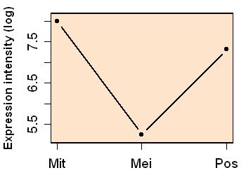 plot image