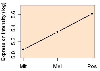 plot image