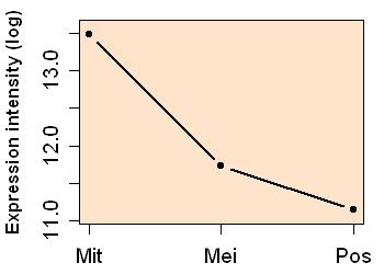 plot image