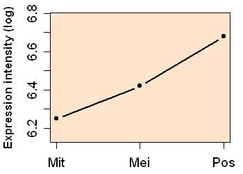 plot image