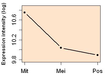 plot image