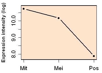 plot image