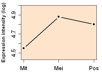 plot image