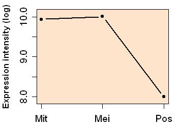 plot image