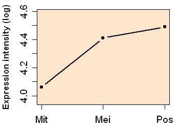 plot image