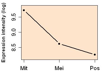 plot image