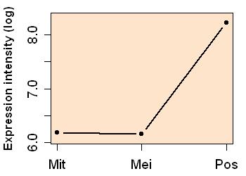 plot image