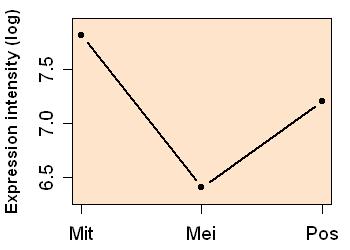 plot image