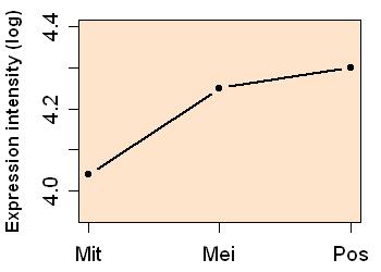 plot image