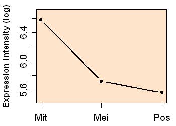 plot image