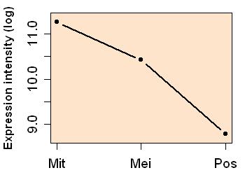 plot image