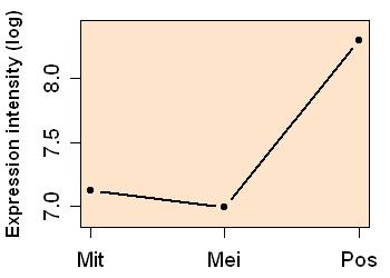 plot image