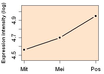 plot image