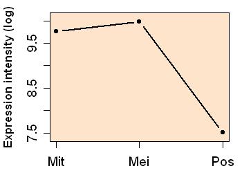 plot image