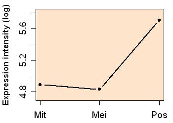 plot image