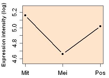 plot image