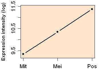 plot image