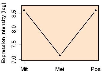 plot image