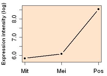 plot image