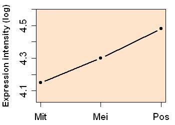 plot image