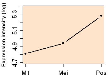 plot image