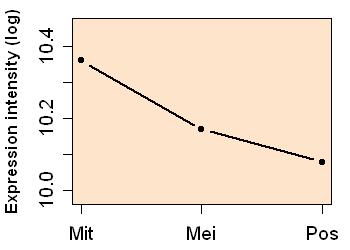 plot image