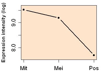 plot image