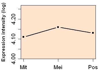 plot image