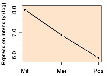 plot image