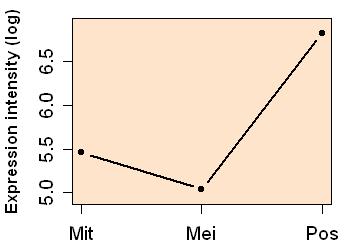 plot image