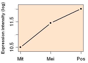 plot image