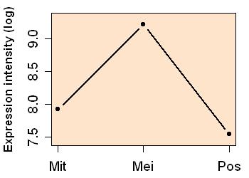 plot image