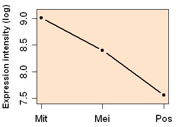 plot image