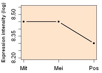 plot image