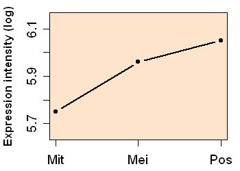 plot image