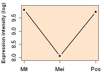 plot image