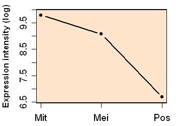 plot image