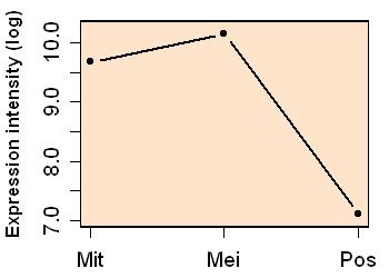 plot image