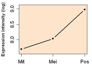 plot image